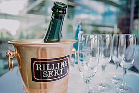 Sektkübel im Bildvordergrund und Sektgläser im Hintergrund